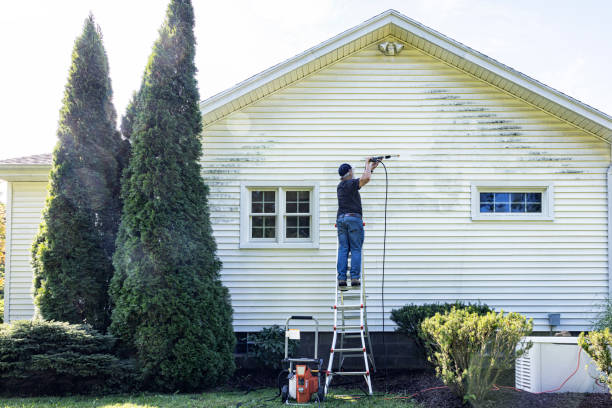 Best Soft Washing  in Springfield, MA