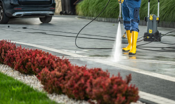 Best Fence Cleaning  in Springfield, MA