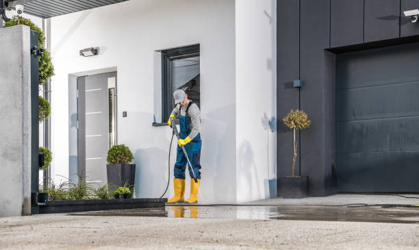 Best Solar Panel Cleaning  in Springfield, MA